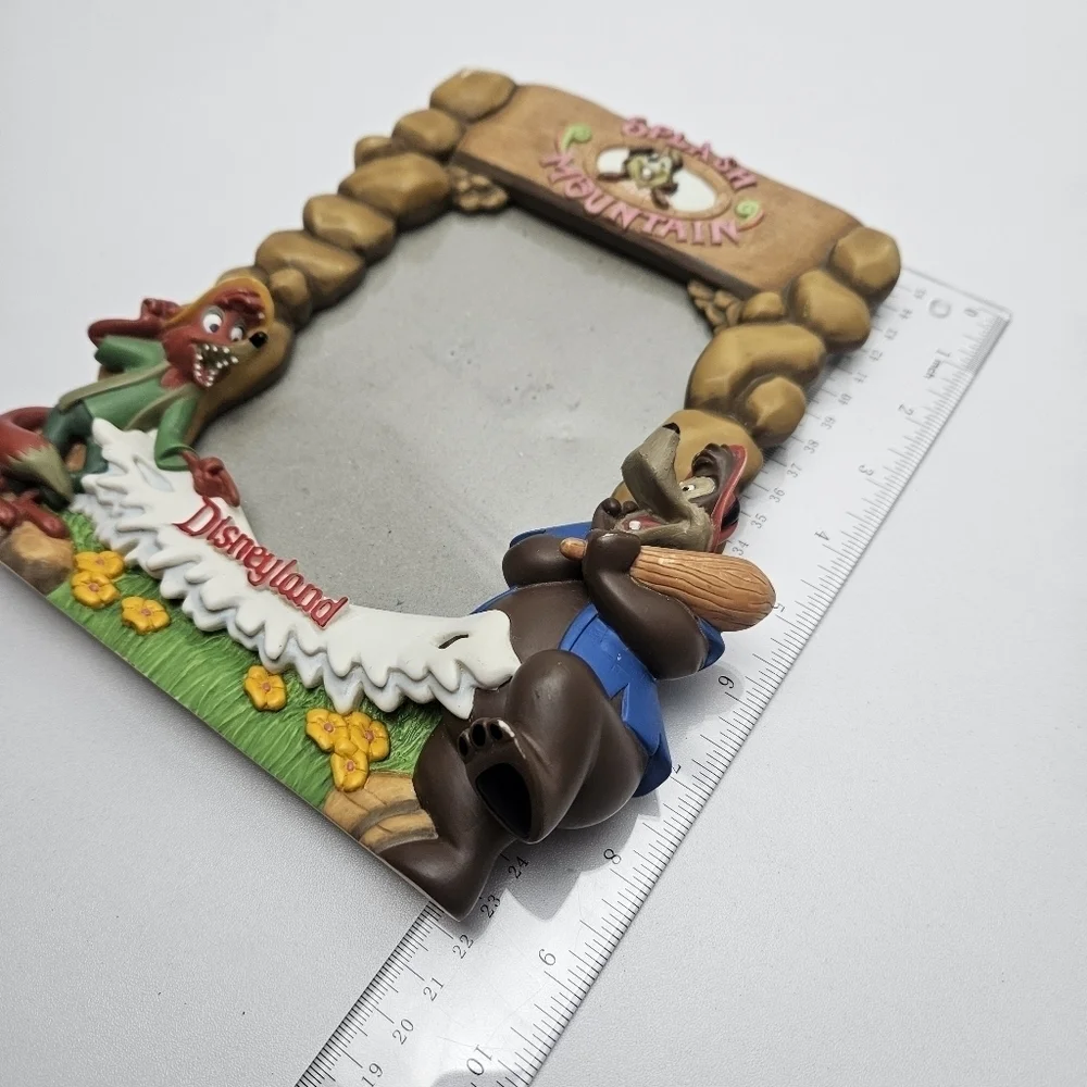 Rare splash Mountain picture frame